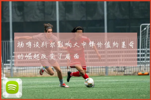 杨鸣谈科尔影响大中锋价值约基奇的崛起改变了局面