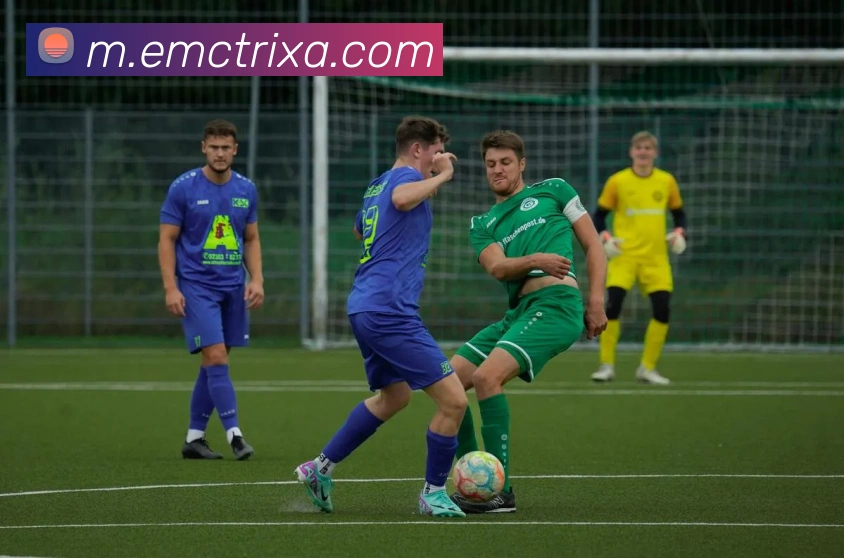 EMC体育平台生态图